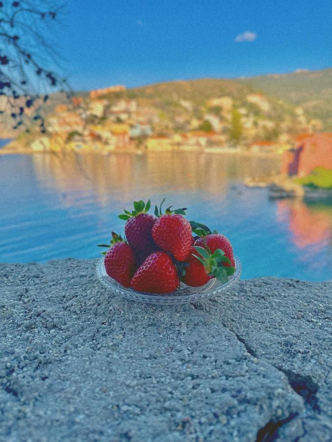 Assos Blue House Apartament Asos